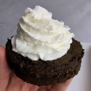 one minute protein mug brownie recipe