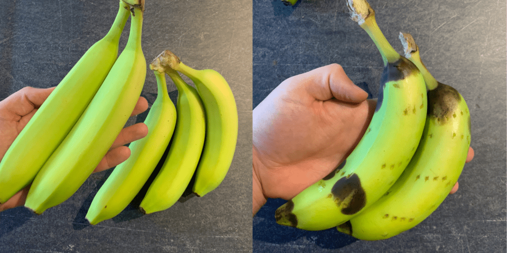 how to ripen a banana in the microwave