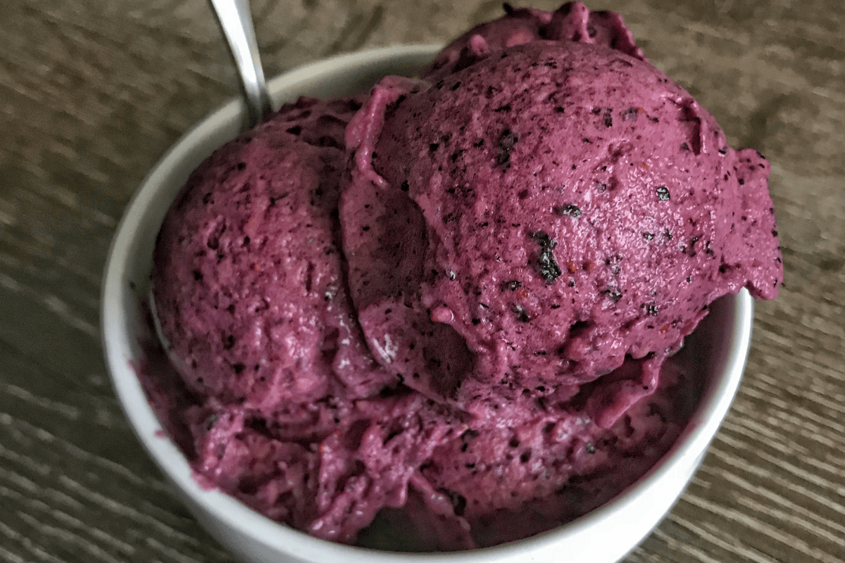 protein ice cream recipe blueberry mango ice cream