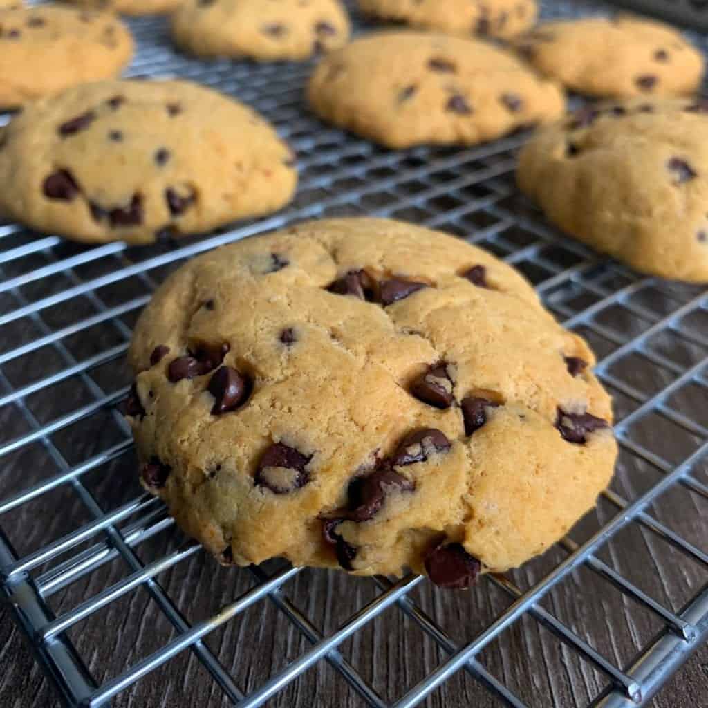 chocolate chip peanut butter protein cookies
