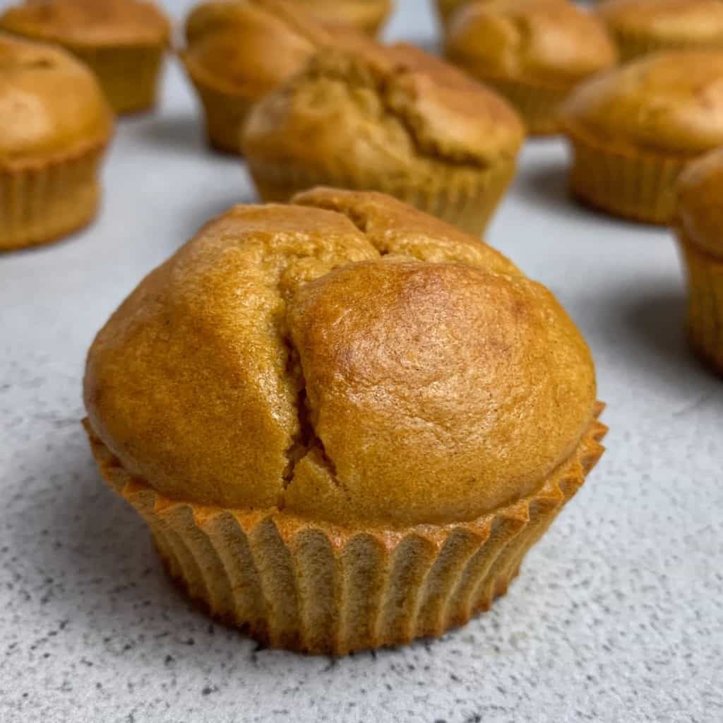 low carb pumpkin protein muffins