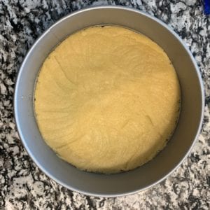 protein cheesecake crust pressed flat in the bottom of a springform pan