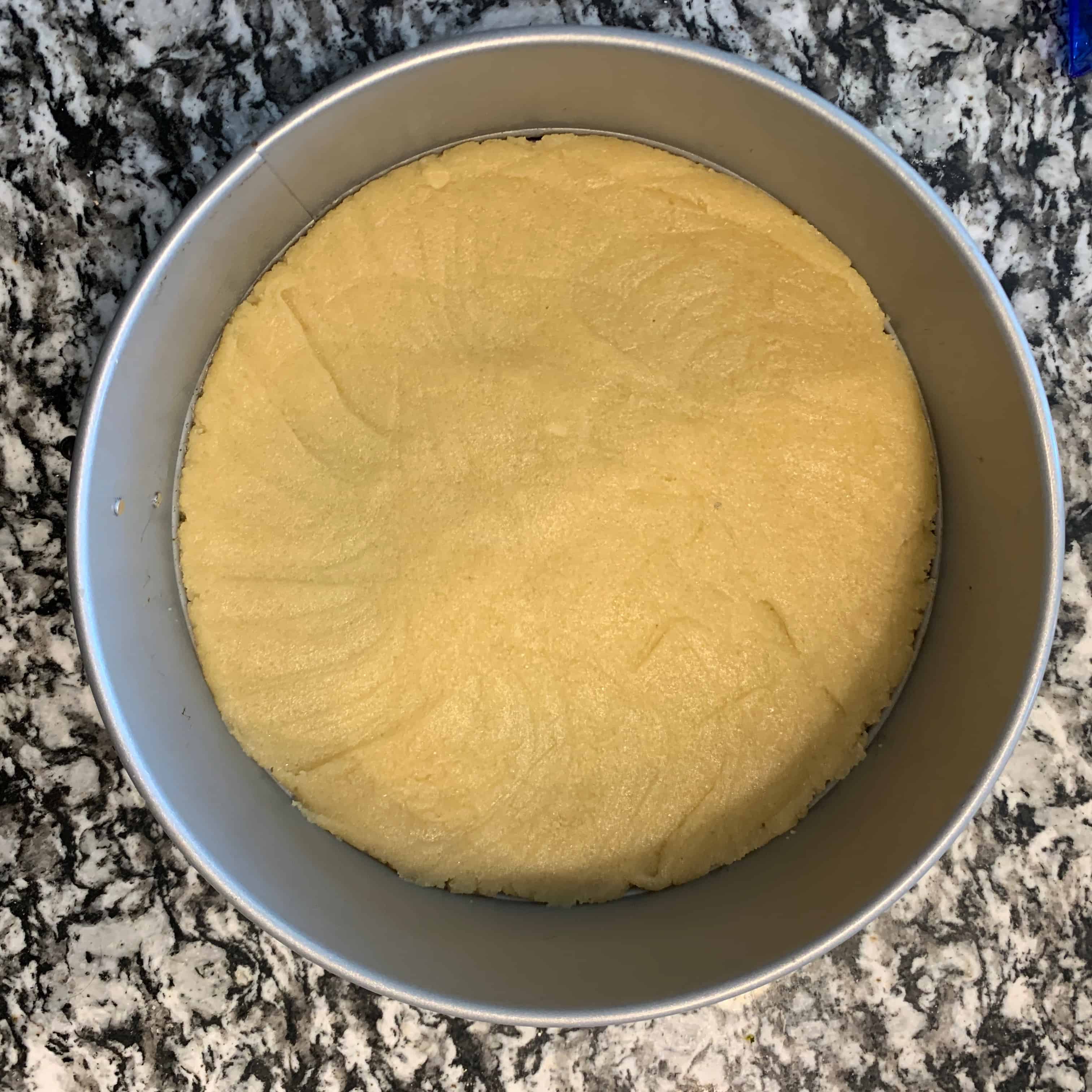 protein cheesecake crust pressed flat in the bottom of a springform pan