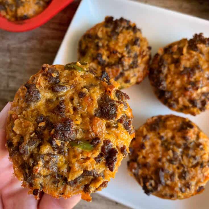 https://masonfit.com/wp-content/uploads/2019/03/low-carb-taco-bites-recipe-735x735.jpg