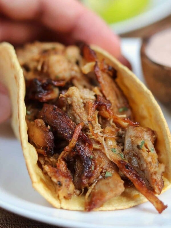 holding a Mexican shredded chicken taco