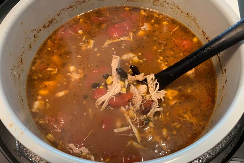 shredded chicken added back to the soup
