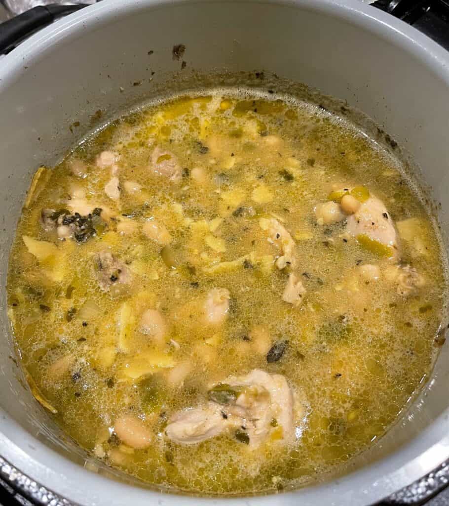 cooked chicken stew in the slow cooker