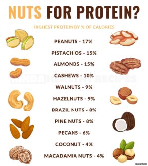 The Top 20 Highest Protein Nuts And Seeds