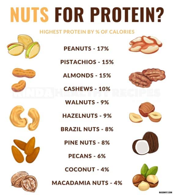 The Top 20 Highest Protein Nuts and Seeds