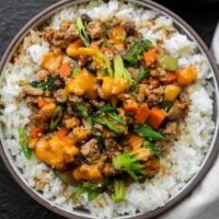 teriyaki ground turkey and vegetables garnished with scallions and low calorie yum yum sauce over rice