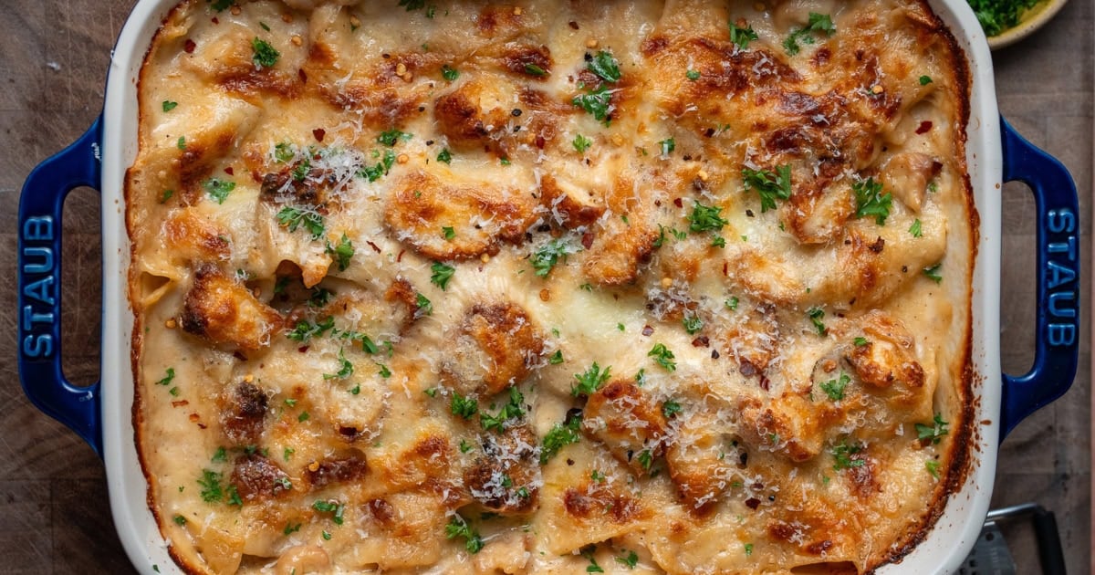 High Protein Chicken Alfredo Lasagna - Mason Woodruff